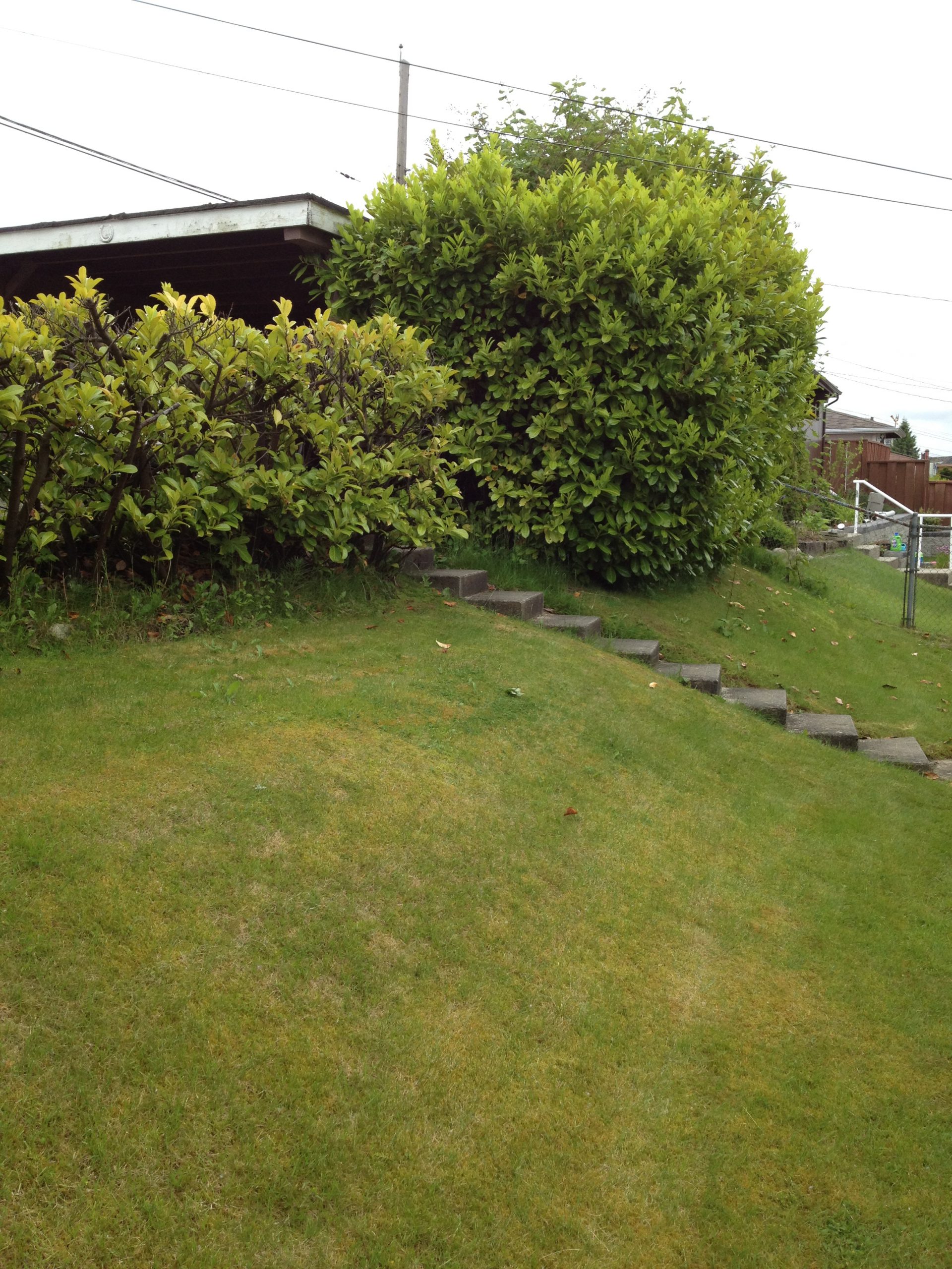 Before - Garage/Yard/Patio